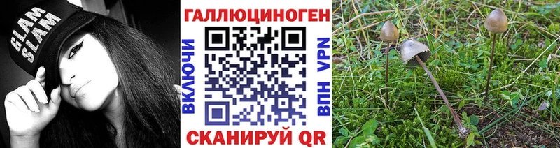 Псилоцибиновые грибы Magic Shrooms  где найти   Чебаркуль 